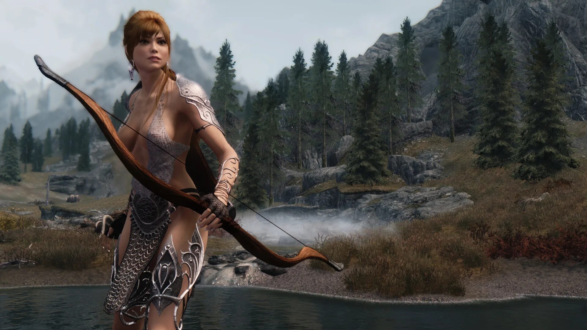Skyrim net