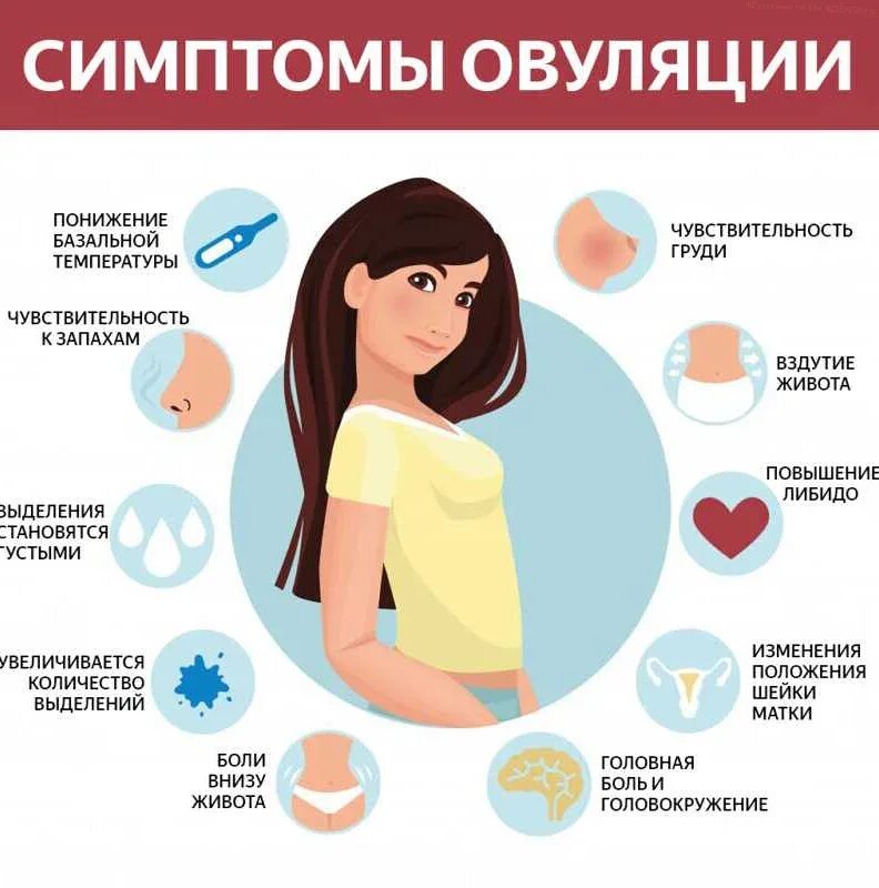 Признаки ранней овуляции после месячных. Признаки овуляции у женщины. симптомы овуляции у женщин. признаперед месячными. овуляция симптомы признаки.