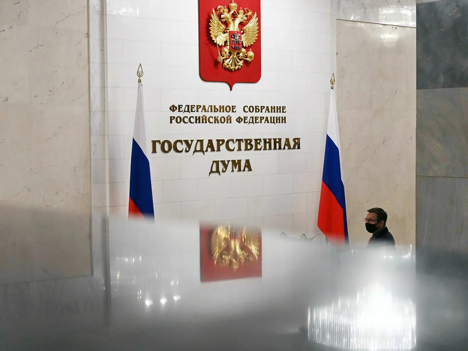В госдуму внесли законопроект о выплате. Государственная дума рф. госдума днр. законопроекты вносятся в государственную думу. госдума одобрила.