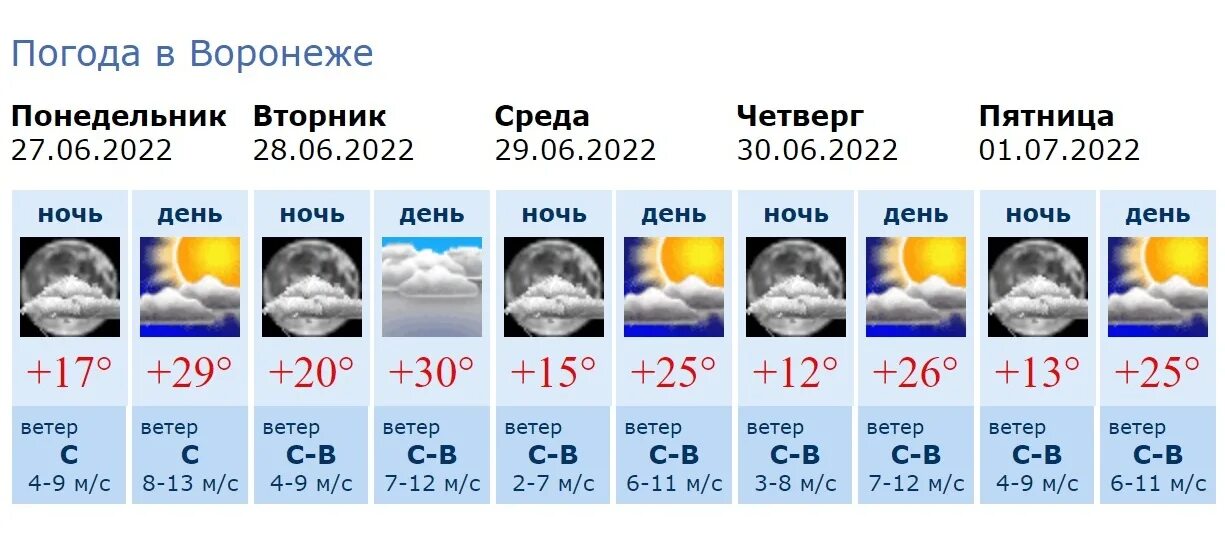 Погода на 27 декабря. Гидрометцентр Воронеж. Какая погода будет 27 декабря. Погода на 27 июня. Погода на 2024 год бузулук