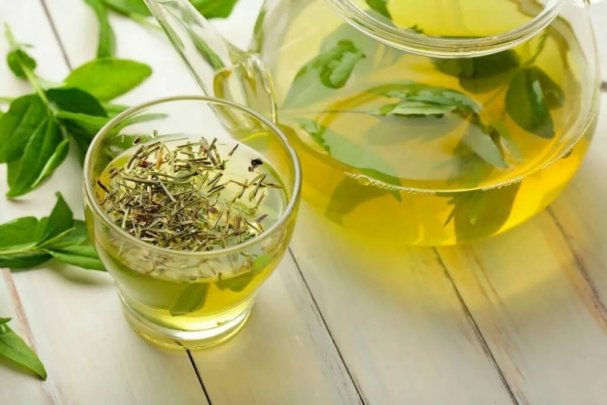 Как приготовить зеленый чай. Чай зеленый "чай Великого императора". Зеленый травяной чай. Чай из трав зеленый. Травяной настой.
