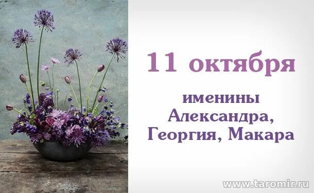 11 октября характеристика