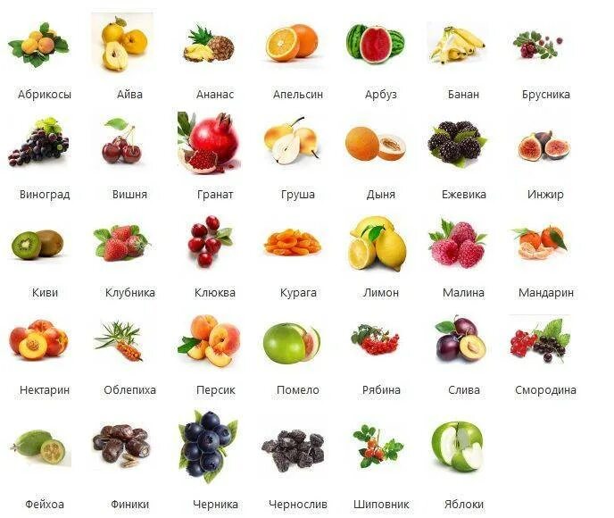 Можно попугаям клубнику. Какие фрукты едят волнистые попугаи. Какие фрукты можно давать волнистым попугаям. Какими ягодами можно кормить попугая волнистого. Что можно давать волнистым попугаям из фруктов и овощей список.