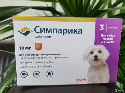 Сколько действует таблетка симпарики для собак
