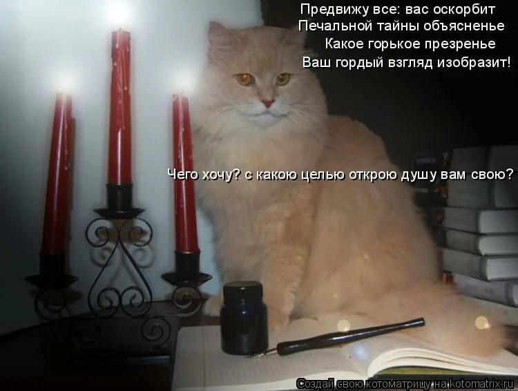 Предвижу все вас оскорбит печальной. Предвижу все вас оскорбит печальной