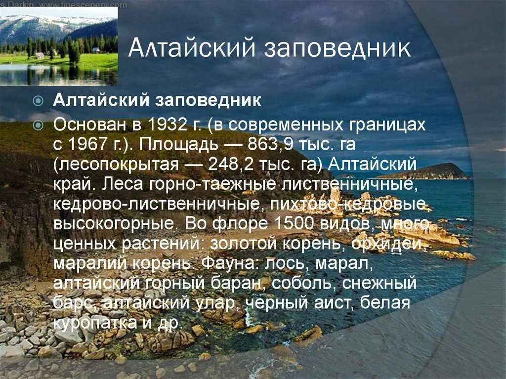 Сообщение о алтайском заповеднике. Рассказ о заповеднике России. Сообщение о заповеднике. Заповедник России кратко. Доклад о заповеднике.