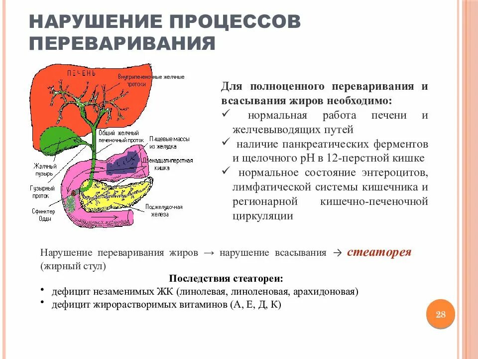 Ферменты расщепления липидов. Нарушено всасывание жиров. Нарушение переваривания и всасывания жиров. Нарушение всасывания липидов. Последствия нарушения переваривания липидов.