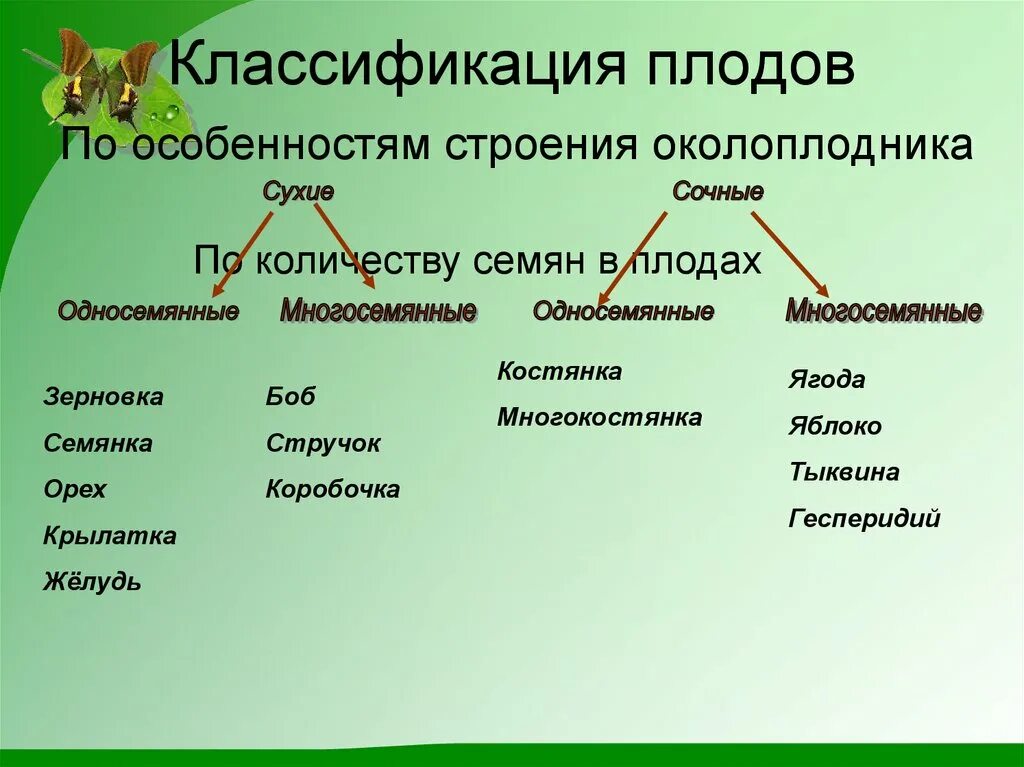 Распределите по группам характерные особенности. Схема классификации плодов 6 класс биология. Строение и классификация плодов. Биология классификация плодов таблица. Классификация плодов схема.