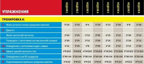 План тренировок для мышц. План тренировок для набора мышечной массы. Жим лежа график тренировок. Программа тренировок в зале для мужчин.