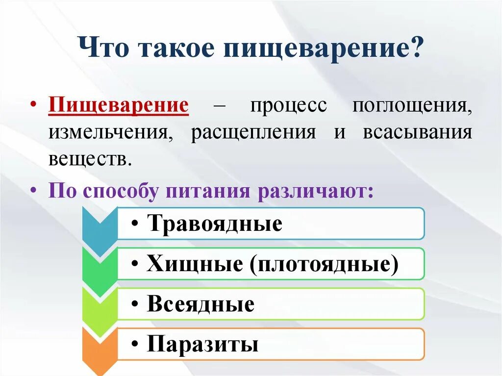 Какие различают по способу питания. Пищеварение обмен веществ. Обмен веществ в пищеварительной системе. Презентация этапы пищеварения. Схема обмена веществ пищеварения.