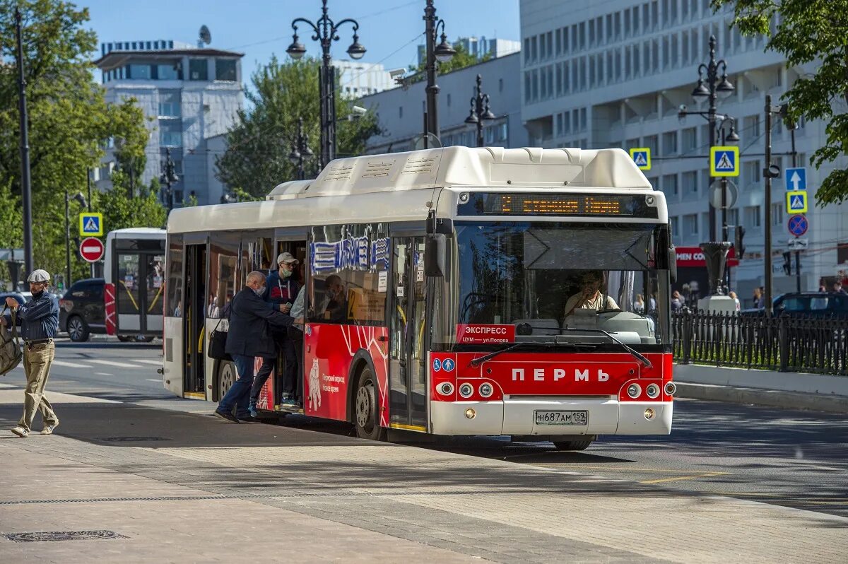 Автобус пермь 300. Автобусы Пермь. Автобус 2 Пермь. Новые автобусы в Перми. 41 Автобус Пермь.