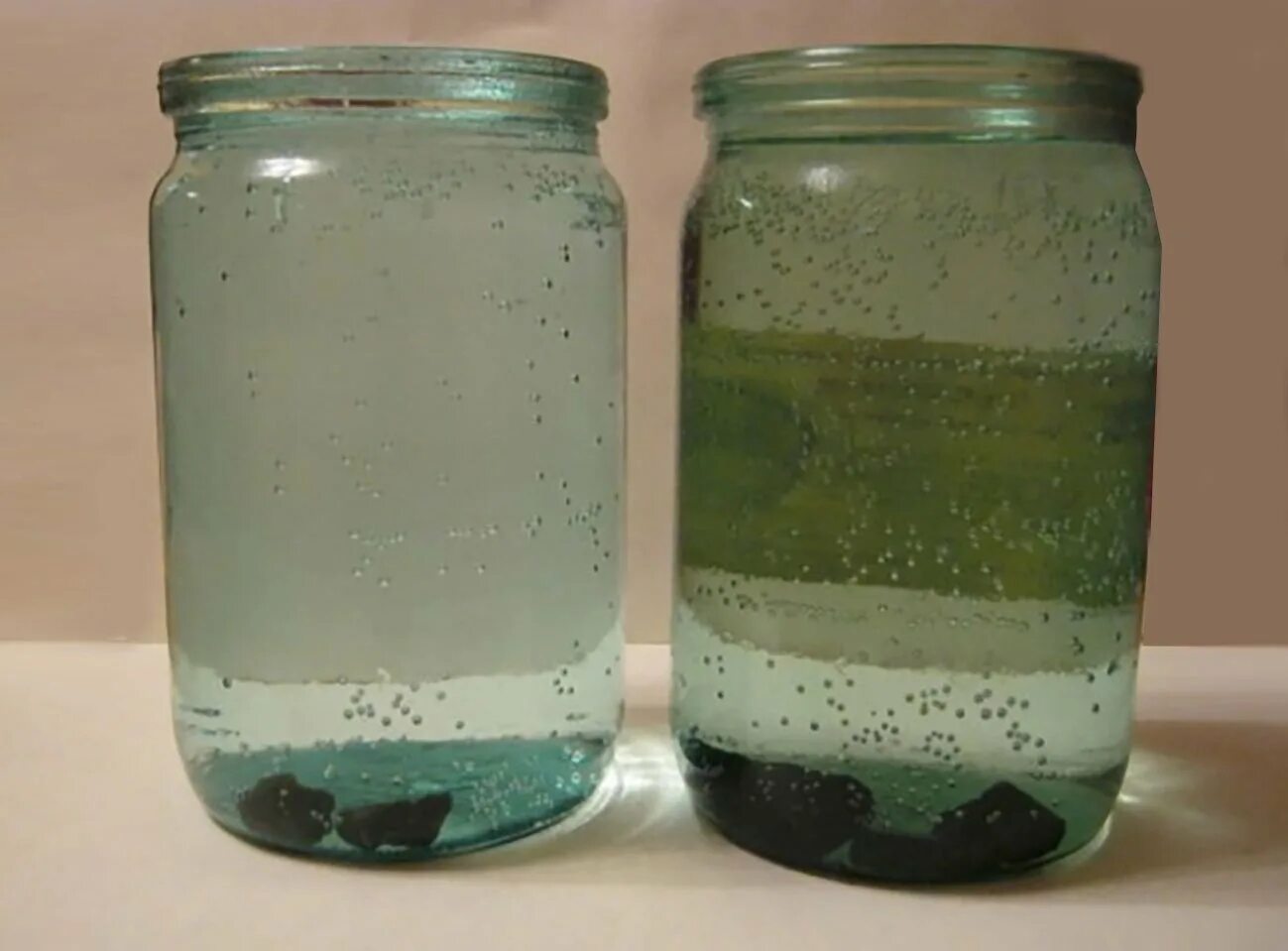 Вода в фильтре зеленеет. Банка с водой. Баночка с мутной жидкостью. Осадок в воде. Банка с зеленой жидкостью.