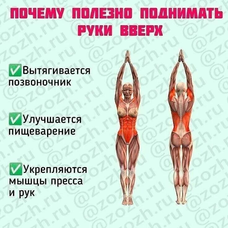 Почему подъем. Зачем поднимать руки вверх. Поднятие рук вверх после еды. Поднимать руки вверх после еды. Зачем поднимать руки вверх после еды.