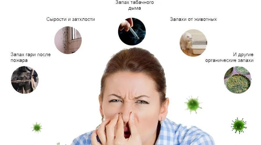 Убрать запах животных. Приятный запах в доме. неприятный запах в помещении. неприятных запахов после животных. избавиться от запаха табака.