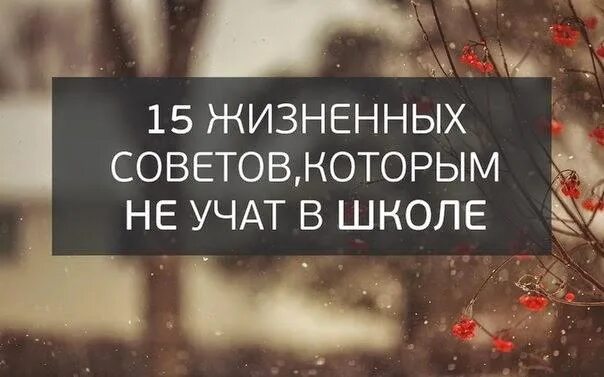 15 жизненных. 15 жизненных советов, которым не учат в школе. жизненные советы. 15 жизненных coветoв. житейские советы.