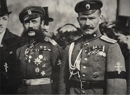 Северо западные белые