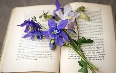 История книги в стихах