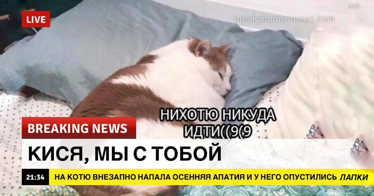 Анекдот про череп. Никуда не отправлять. Анекдот про черепаху. Никуда не отправлять. А жить нужно так будто вы немного выпили.