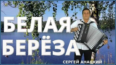 Белая береза на баяне