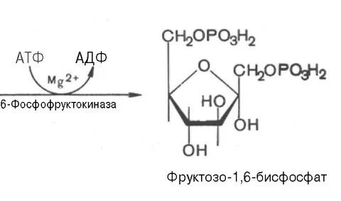 Фруктоза ag2o