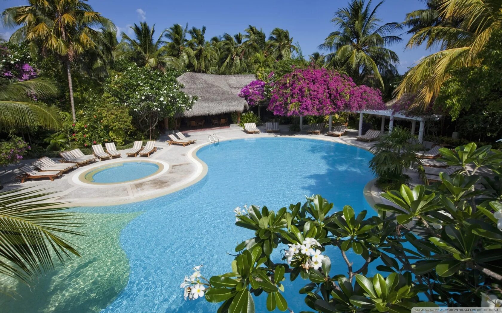 Мальдивы пальмы бунгало бассейн. Рания Мальдивы. Гавайи Мальдивы Карибы. Голубая Лагуна Шри Ланка.