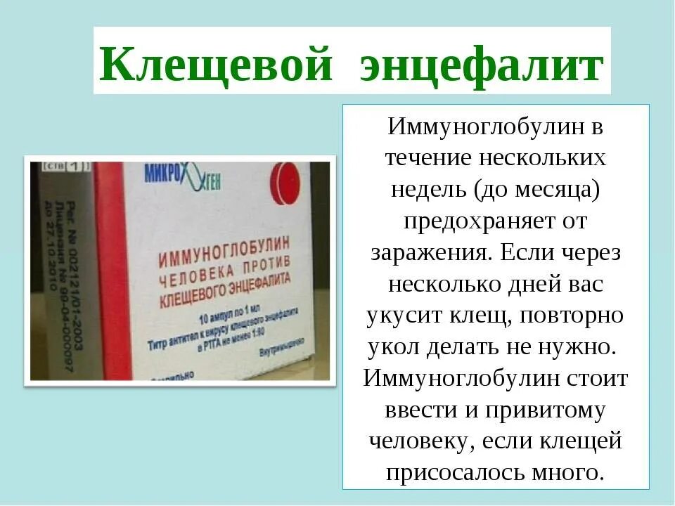 Иммуноглобулин при укусе клеща. Иммуноглобулин клещевого энцефалита. Иммуноглобулин после укуса клеща. Иммуноглобулин укол от клеща. Иммуноглобулин после прививки