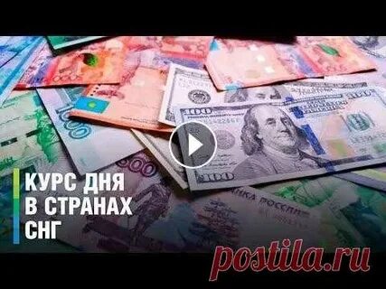 День курси
