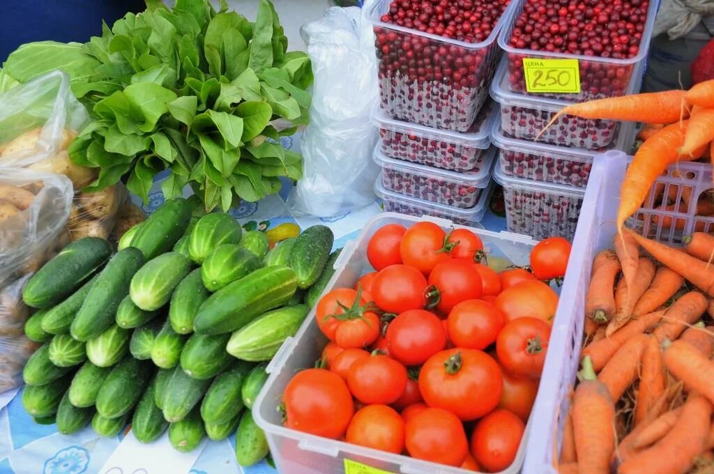 Продукцию и на местном рынке. Рынок Фреш Магадан. Ярмарка Магадан. Пролетарская 43 рынок Фреш. Рынок фрэш Магадан открытие.