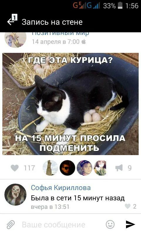 Минута требовать. Кто выдвигает требования. Коты высиживают яйца. Минута требовать. На сколько минут после наложения жгута его необходимо ослаблять.