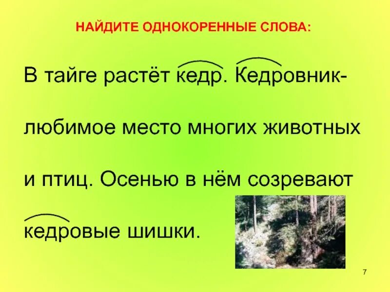 Разгаданная однокоренные. Однокоренные слова. Текст с однокоренными словами. Текст с однокоренными словами 3 класс. Предложения с однокоренными словами для 2 класса.