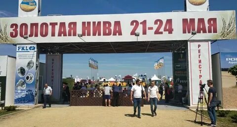 Золотая нива даты