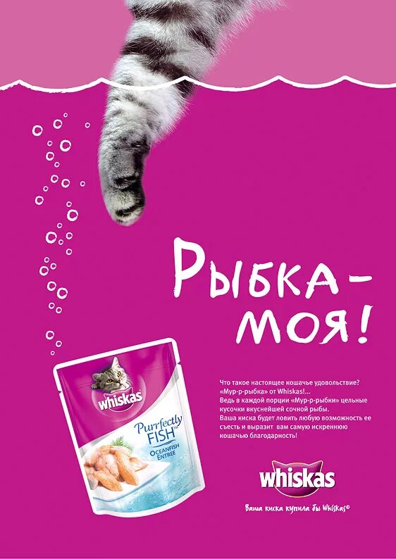плакаты с кошками. кошачий корм реклама. креативная реклама с кошками. кот с рекламы вискас.