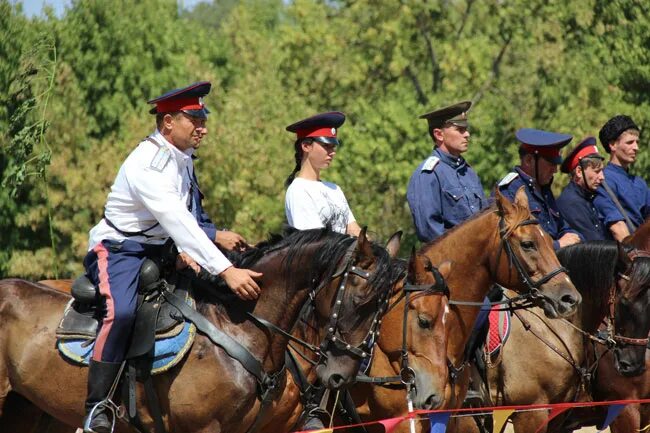 33rd infantry regiment uk. Infantry regiment (the old guard). донец фото. казаки азовского района. казачий конный взвод.