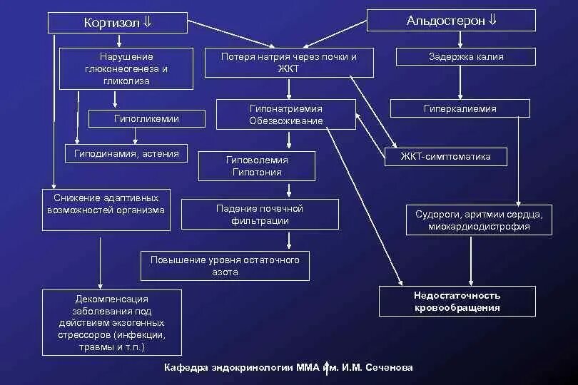 Кортизол понижен причины. Патогенез надпочечниковой недостаточности. кортизол и альдостерон. этиология надпочечниковой недостаточности. клинические проявления надпочечниковой недостаточности.