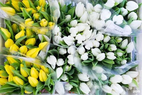 4 цвета казань