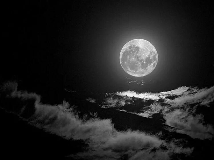 Словно белая луна. Луна. Красивая Луна. Фото Луны. Луна черно белая.