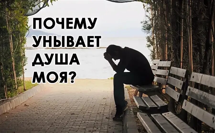 Унывай душа моя. Что унываешь душа моя. Что унываешь ты душа моя. Пой душа не унывай