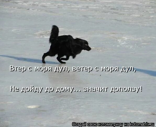 с моря дул влажный ветер цифра 4