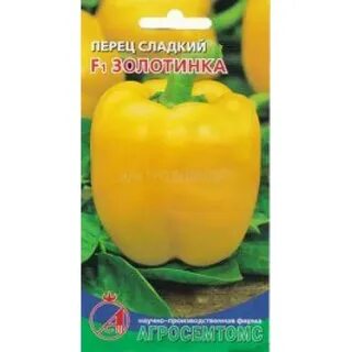 Перец знатный толстяк