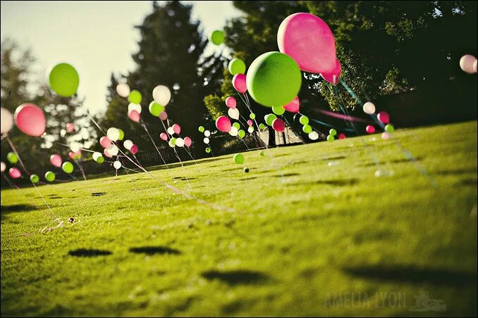 Лето в шаре. Воздушные шары на природе. Праздник на природе шарики. Воздушные шары в зеленых тонах. Воздушные шарики в парке.