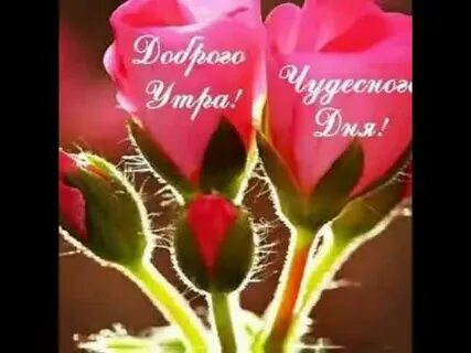 Любо доброе