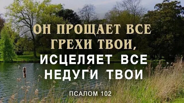 Он прощает все беззакония твои исцеляет все недуги твои. Псалом 102. Он исцеляет все недуги твои. Псалом 102м. Псалом 102 читать на русском