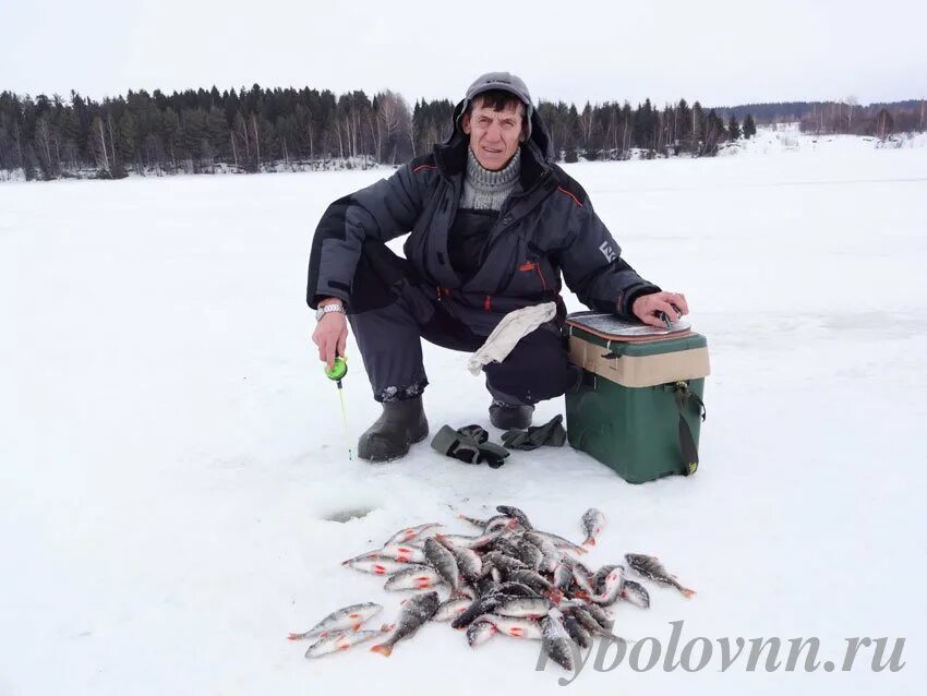 Рыбалка Городец. Места для рыбалки в Нижнем Новгороде. Горьковское водохранилище рыбалка. Зимняя рыбалка Городец. Рыбалка нижний новгород и область в контакте