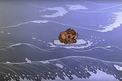 Льдина дождь больница деревья медведь альбом