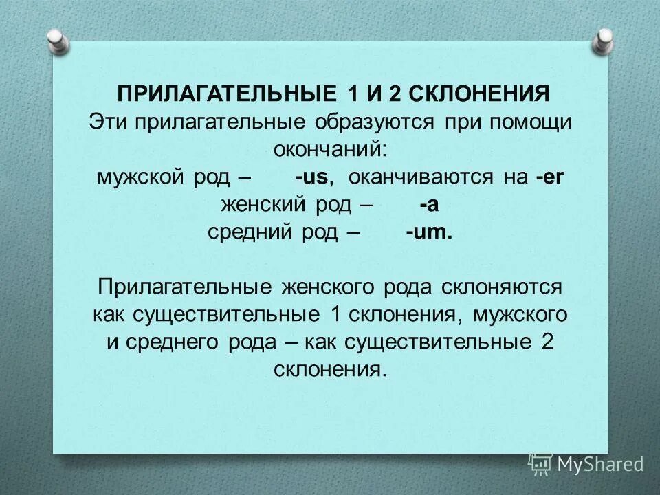 Лето 2 склонение. Прилагательные 1-2 склонения. Что образуется при помощи окончания. Прилагательные 1 группы 1 и 2 склонения. Прилагательные 1 и 2 склонения в латинском.