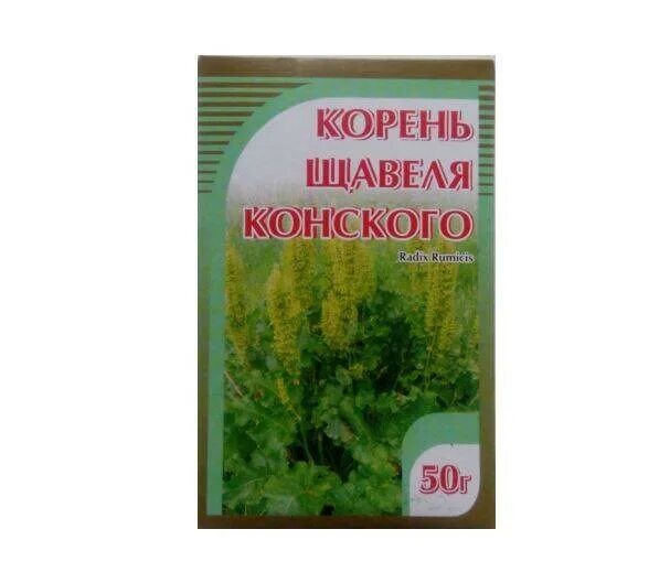 Конский щавель (rumex crispus). Конский щавель в композициях. Щавель конский. Конский щавель аптека. Трава щавеля лрс.