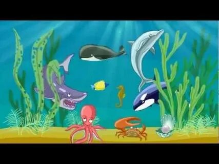Морские животные развивающее видео для детей