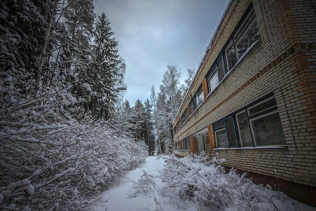 лесные дали новый год. лесные дали новый год. лесные дали зимой в барнауле. лесные дали новый год.