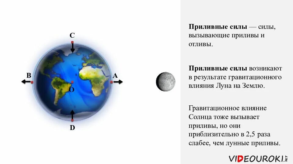 Приливы и отливы на земле. Система земля Луна. Приливы и отливы на земле вызваны. Приливы и отливы земля Луна солнце.