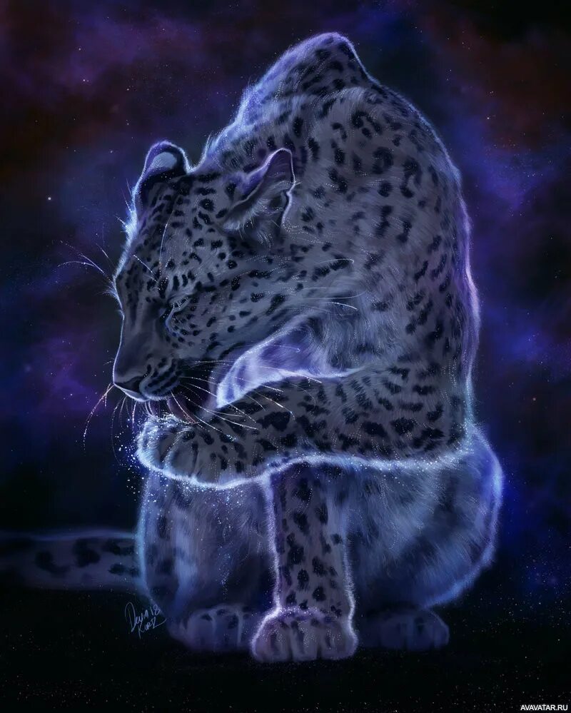 Leopard star